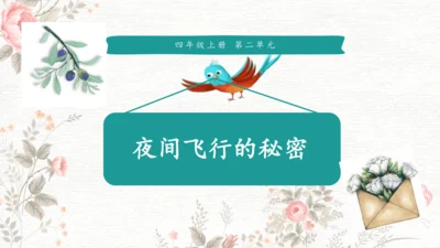 6夜间飞行的秘密  课件