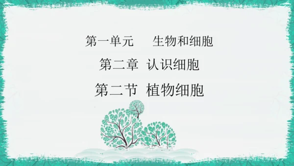 人教版（2024）七年级上册1.2.2 植物细胞 课件(共19张PPT)