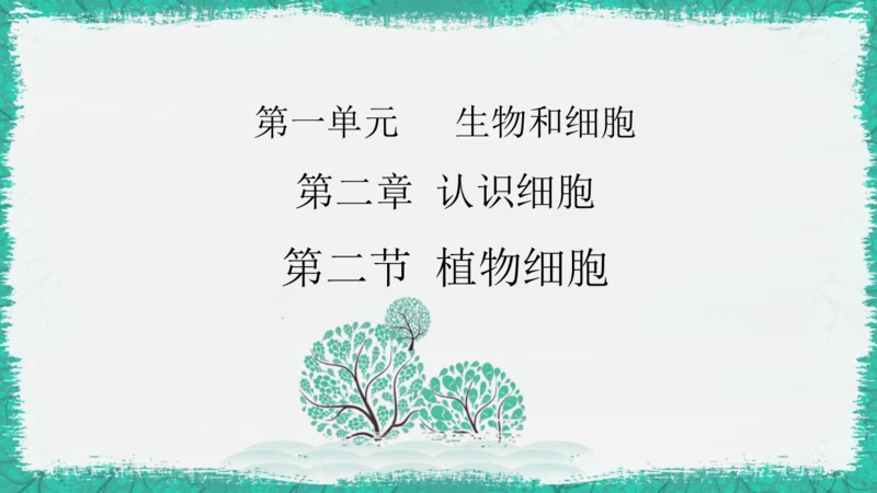 人教版（2024）七年级上册1.2.2 植物细胞 课件(共19张PPT)