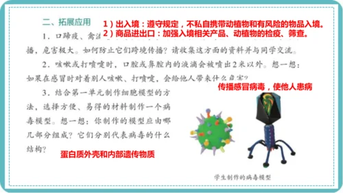 人教版生物七年级上册2.3.4《病毒》课件(共19张PPT)+视频素材