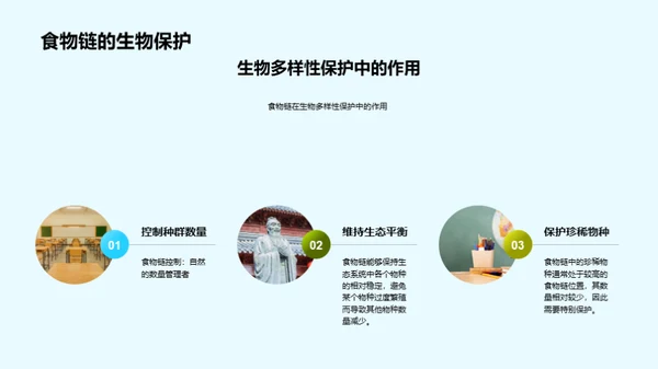 深度解析食物链
