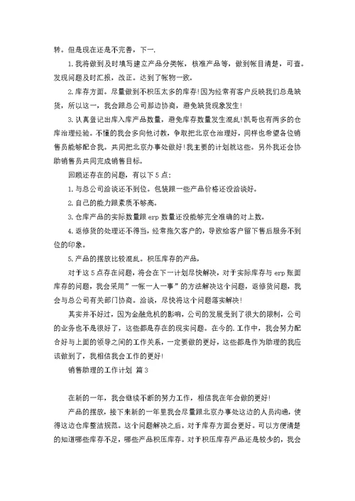 关于销售助理的工作计划模板锦集九篇