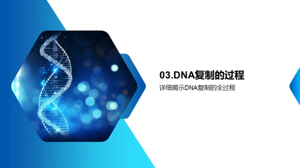 DNA：解读生命之源