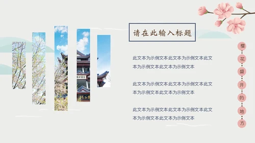 岛国之旅浪漫樱花季通用PPT模板
