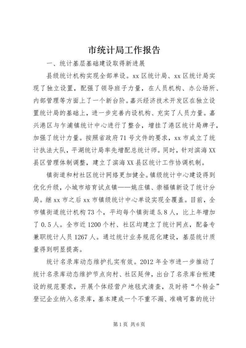 市统计局工作报告 (5).docx