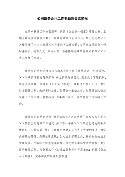 公司财务会计工作专题性会议简报