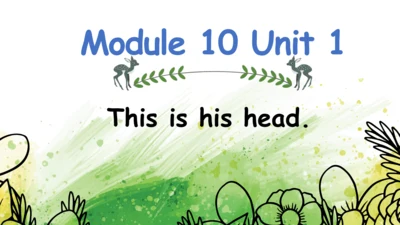 Module 10 Unit 1 This is his head  课件(共32张PPT)