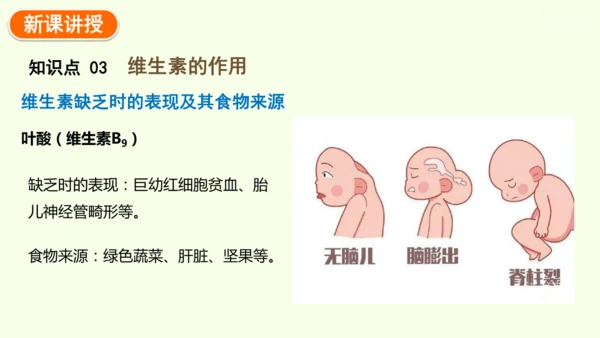 4.2.1食物中的营养物质-七年级生物下学期同步精品课件（2024人教版）(共43张PPT)