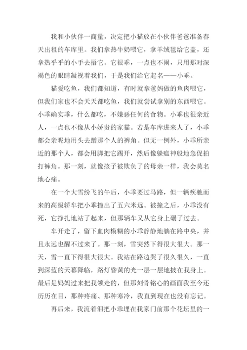 总有一种记忆值得珍藏作文.docx