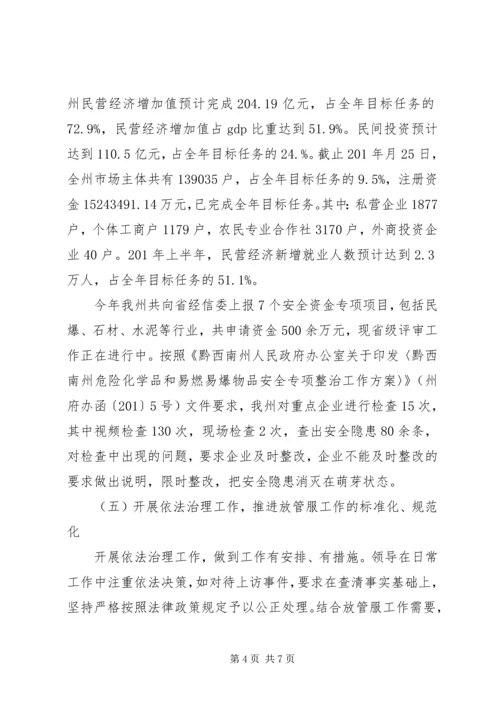 放管服工作情况总结-计划及进展.docx