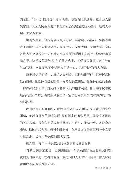 铸牢中华民族共同体意识研讨发言材料【十一篇】.docx