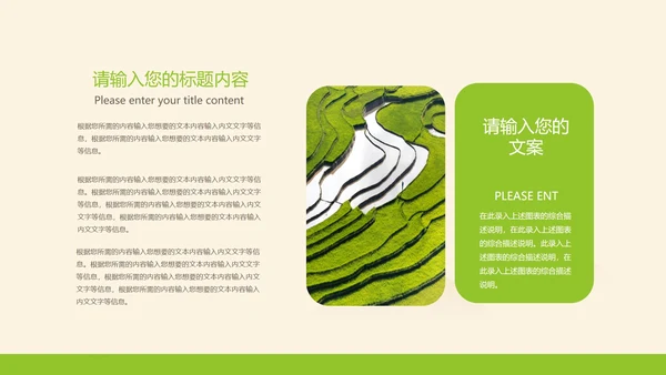 黄色插画风水稻粮食教育PPT模板