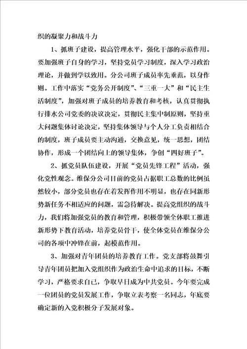 XX年非公企业党支部工作计划