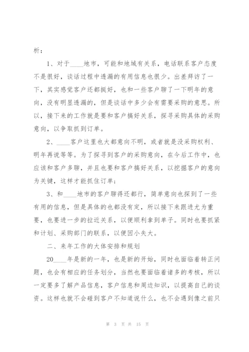 销售人员个人工作述职报告.docx