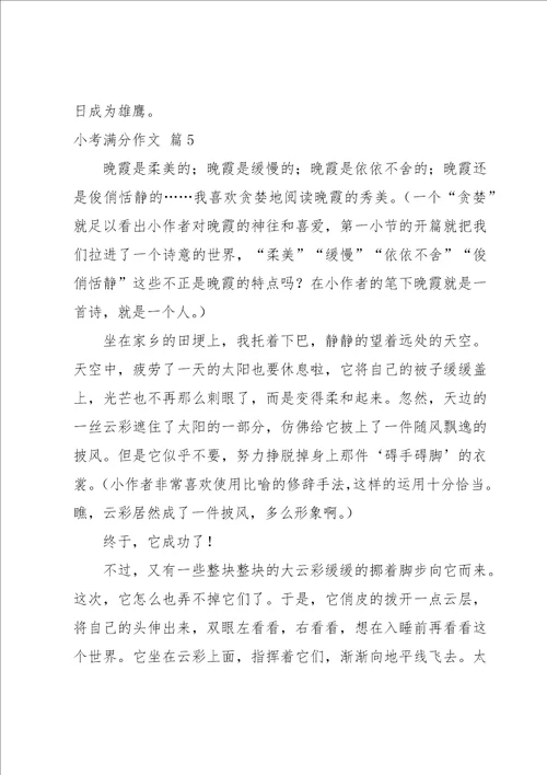 小考满分作文集锦5篇