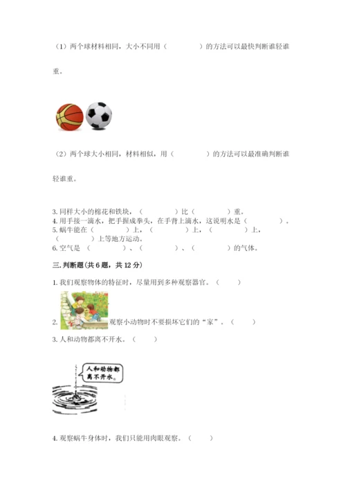 教科版一年级下册科学期末测试卷精品【考点梳理】.docx