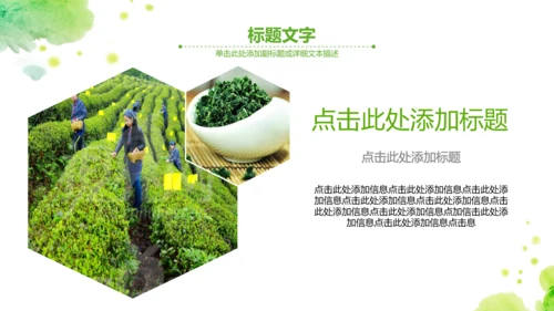 绿茶红茶茶叶茶厂茶文化茶道春茶PPT模板