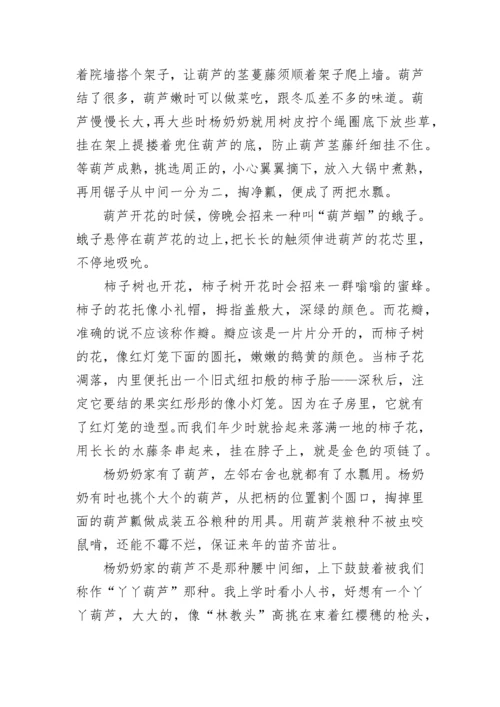 远漂的葫芦散文.docx