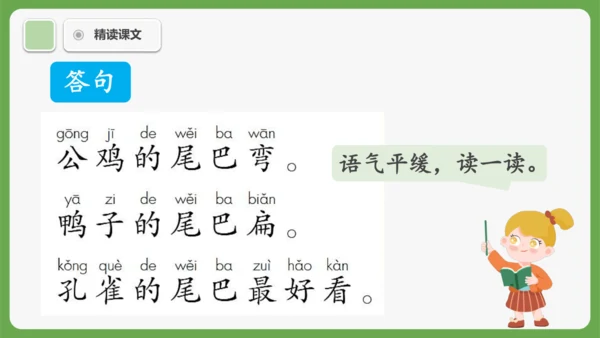8《比尾巴》课件
