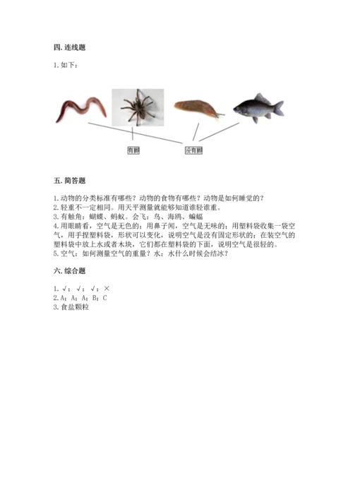 教科版一年级下册科学期末测试卷（能力提升）.docx