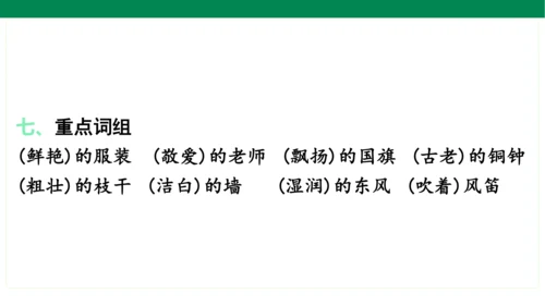 统编版语文三年级上册期中复习单元知识盘点  课件