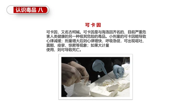 珍爱生命世界禁毒日PPT