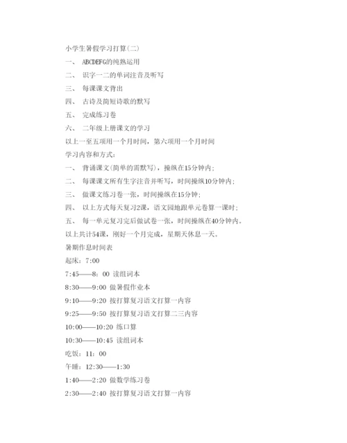精编小学生暑假学习参考计划范文.docx