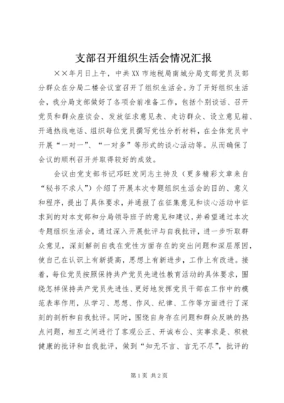 支部召开组织生活会情况汇报.docx