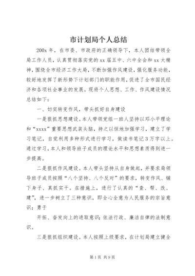 市计划局个人总结 (10).docx