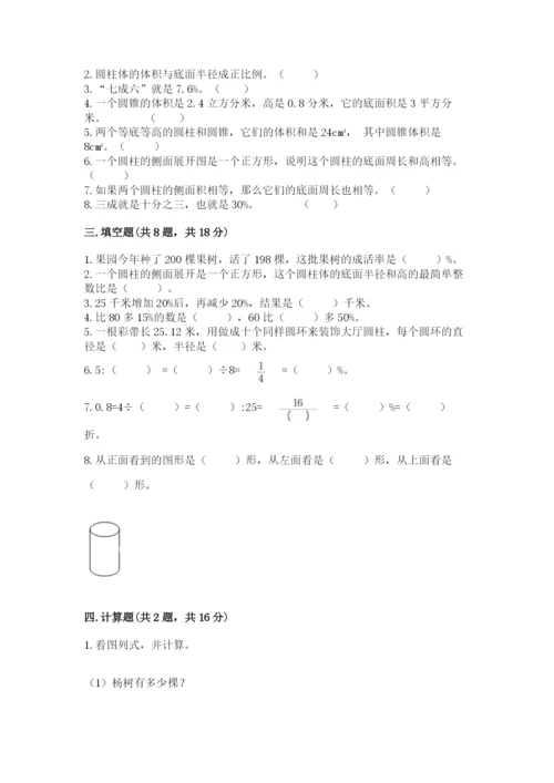 苏教版六年级下册数学期中测试卷【精练】.docx
