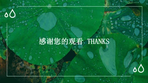 绿色荷叶大暑节气通用PPT模板