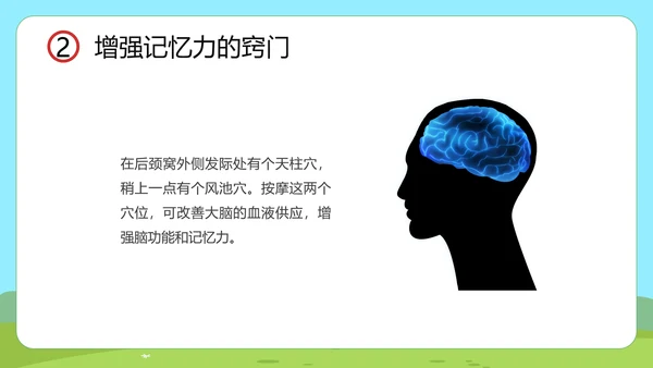 小讲堂趣味科普通用PPT模板