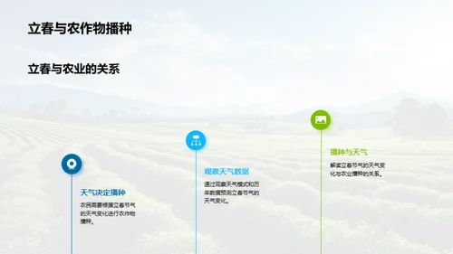立春节气的奥秘解析