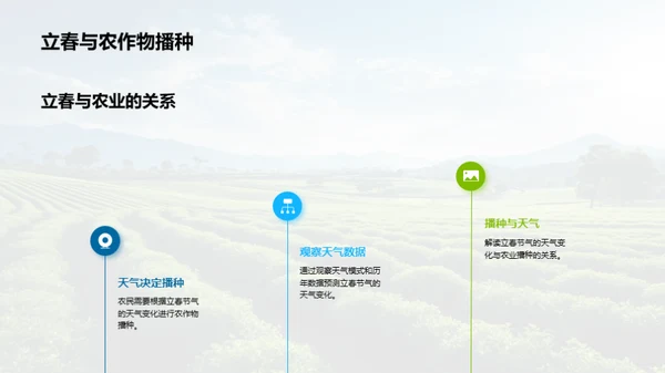 立春节气的奥秘解析