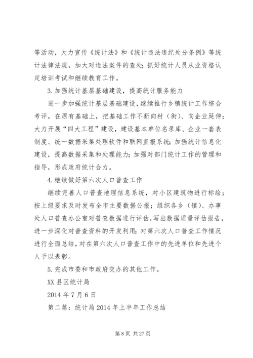 市统计局上半年工作总结及下半年工作计划(精选多篇).docx