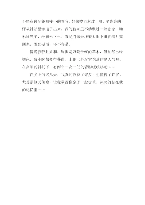 傍晚作文00.docx