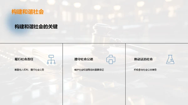法治社会构建与实践