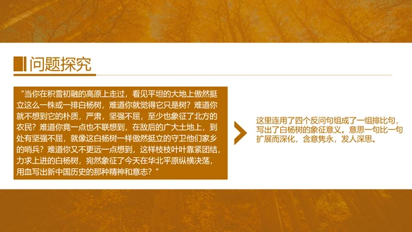 初中语文茅盾《白杨礼赞》PPT教学课件