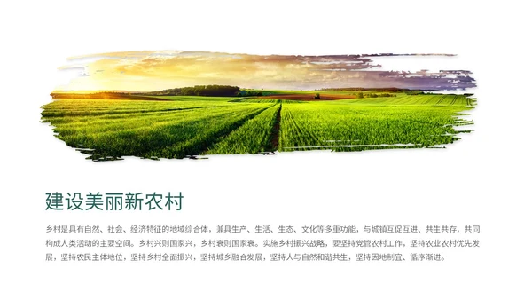 实拍笔刷风格美丽乡村农业介绍新时代农业农村现代化ppt模板