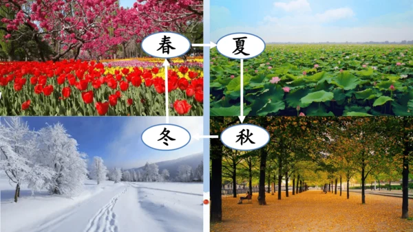 一上13 美丽的冬天  课件