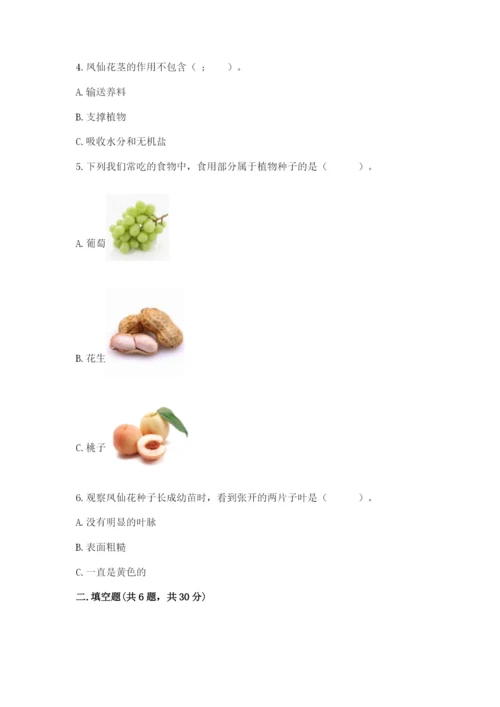科学四年级下册第一单元植物的生长变化测试卷【b卷】.docx