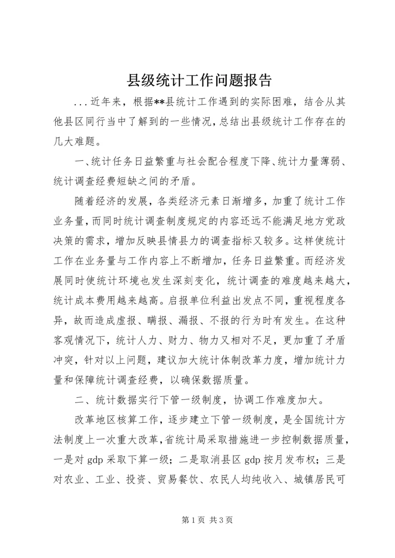 县级统计工作问题报告.docx