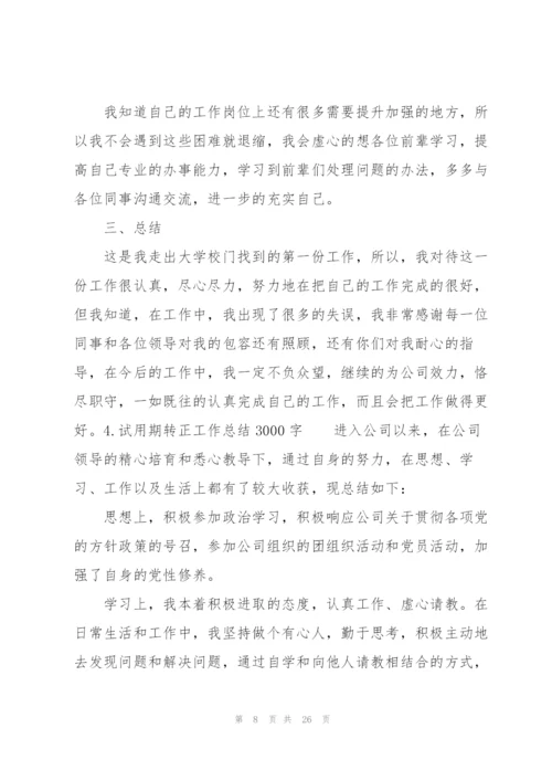 试用期转正工作总结3000字（10篇）.docx