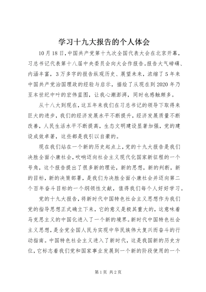 学习十九大报告的个人体会.docx