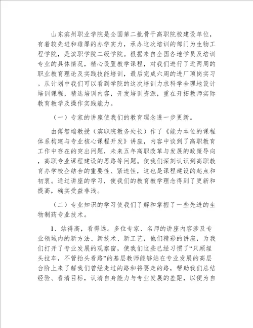 高职院校骨干教师国家级培训总结共5篇