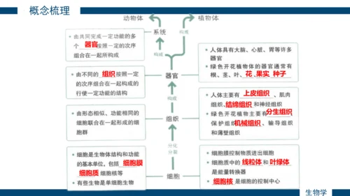 综合实践项目单元小结-【备课优选】七年级生物上学期同步精品课件（2024人教版）(共19张PPT)