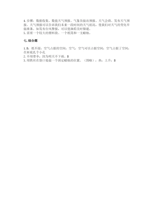 教科版三年级上册科学期末测试卷（真题汇编）.docx