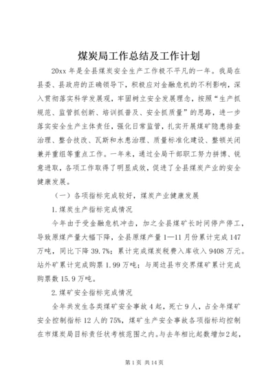 煤炭局工作总结及工作计划 (4).docx