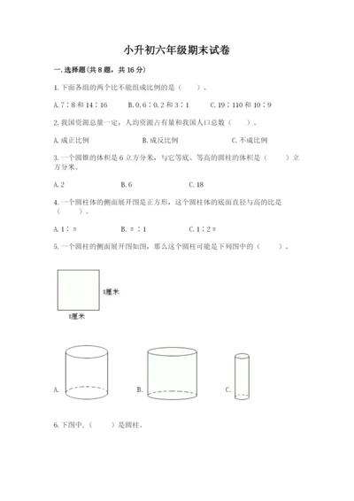 小升初六年级期末试卷精品【完整版】.docx