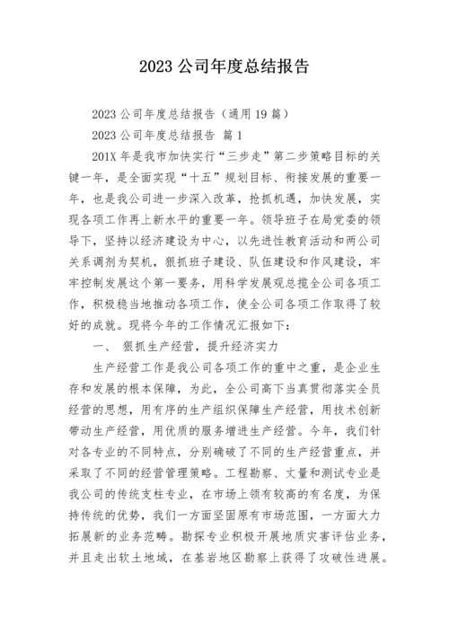 2023公司年度总结报告.docx